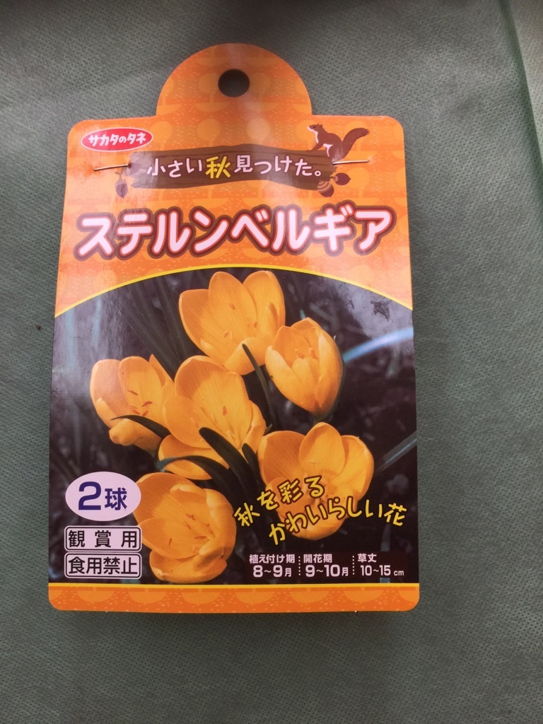花パッケージ